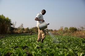 School of Agriculture Image